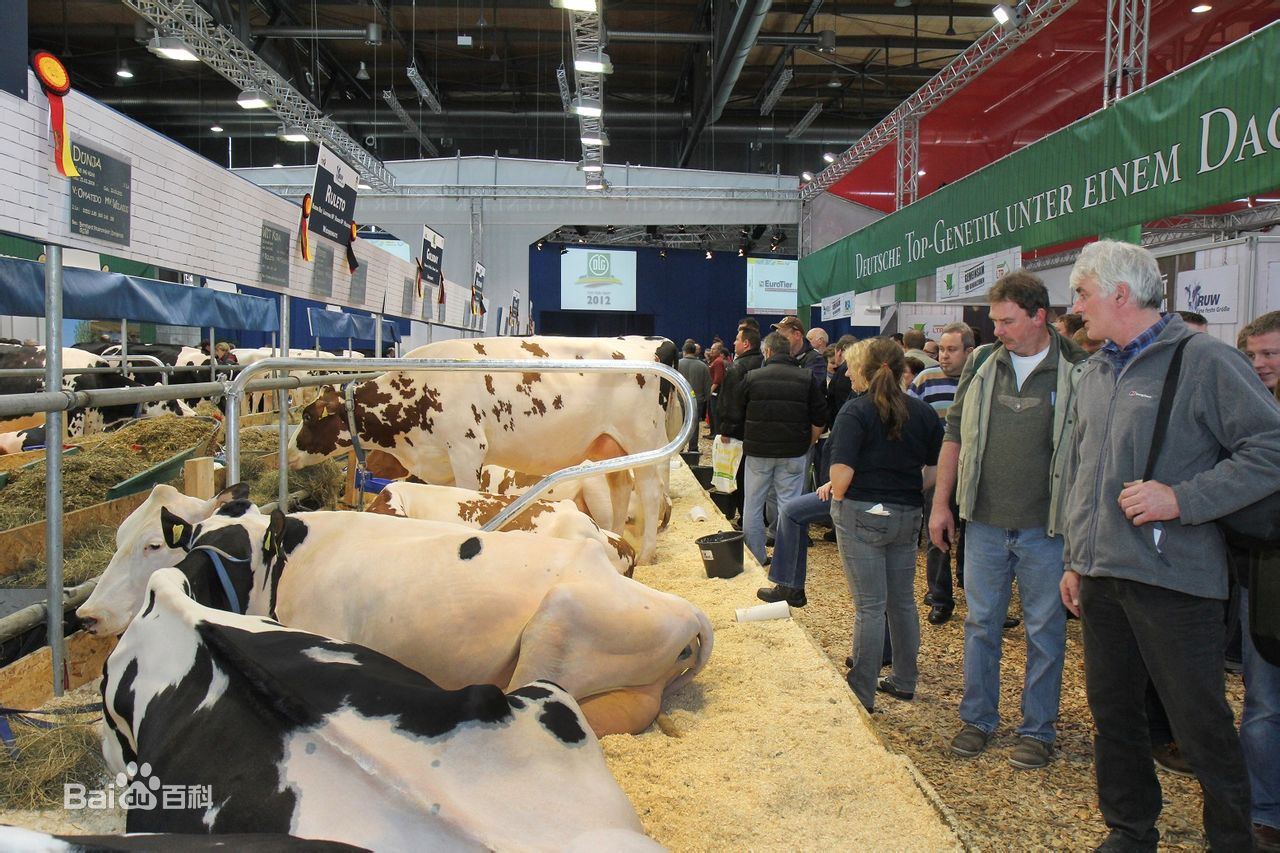 2020年德国汉诺威畜牧业展览会